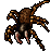 Sacred Spider